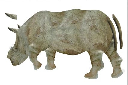 Creation of Rhino: Step 9